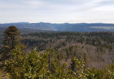 Trail Walking Oyonnax - sommet de Belmont-grotte de Lordon - Photo