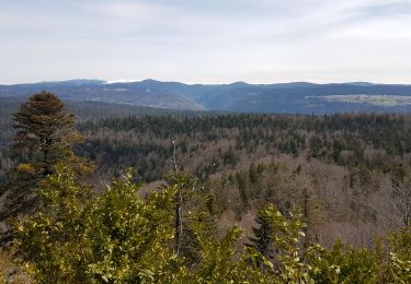 Tour Wandern Oyonnax - sommet de Belmont-grotte de Lordon - Photo