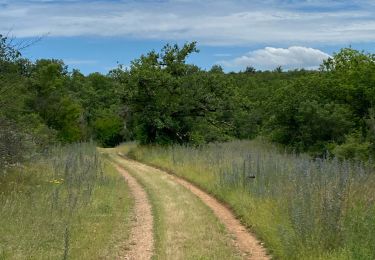 Trail sport Puylaroque - Mazerac source lere belli y - Photo