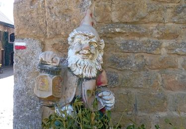 Trail Walking Meix-devant-Virton - Gerouville - Photo