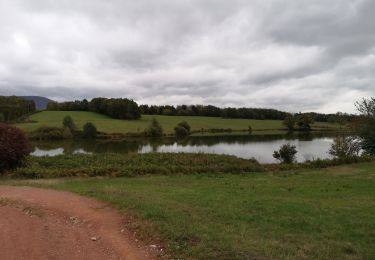 Randonnée Marche Chaux - Chaux  - Photo