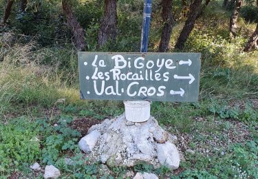 Tocht Stappen La Valette-du-Var - la Bigoye la valette - Photo