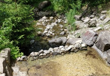 Randonnée Marche Arâches-la-Frasse - Les Carroz tête des Saix boucle - Photo