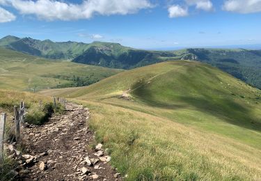 Randonnée Marche Mont-Dore - Zot/fifi les crêtes 2022 - Photo