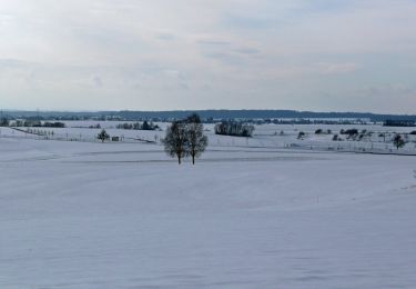 Tocht Te voet Wildberg - Deckenpfronn Grenzweg - Photo