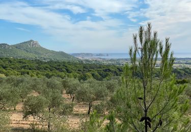 Randonnée Marche Torroella de Montgrí - Montgris : Ermitage  - Photo