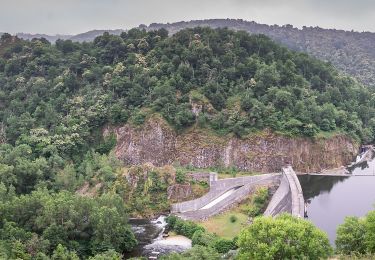 Percorso A piedi Pampelonne - Ciruit du Château de Thuriès et du Viaur - Photo