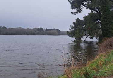 Tour Wandern Lorient - grand lac du ter - Photo