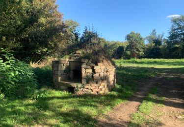 Trail Horseback riding Marzan - La Vilaine Peaule - Photo