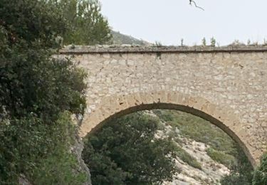 Randonnée Marche Aubagne - St jean de garguier - Photo