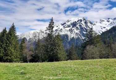 Tocht Stappen La Combe-de-Lancey - Col du Pré du Molard - Photo