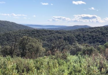 Trail Walking Sainte-Maxime - Ste Maxime - Chapelle St Donnat - Le Revest - Photo