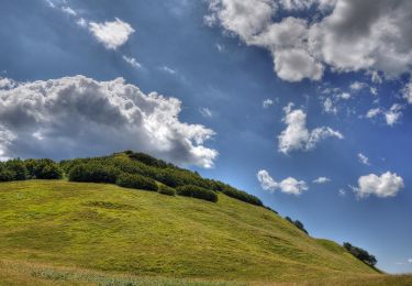 Percorso A piedi Ventasso - La Gabellina - Sorgenti del Secchia - Sella di Monte Casarola - Rifugio Rio Pascolo - Photo