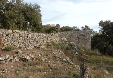 Trail Walking Flassans-sur-Issole - Château des PONTEVES-12-12-22 - Photo