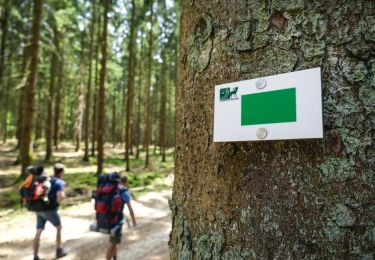 Tocht Stappen Libin - Lesse - Entre Lesse et Lomme - Photo