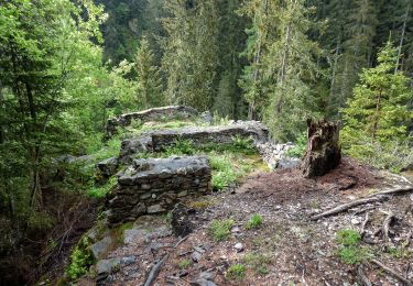 Percorso A piedi Thomatal - Wanderweg 69, Höllweg Bundschuh, Thomatal - Photo