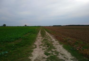 Percorso Marcia Saint-Branchs - Saint-Branchs - les Boissières Chemin du Rail - 8.3km 35m 1h45 - 2023 09 27 - Photo