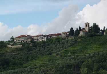 Trail On foot Casola in Lunigiana - Trekking Lunigiana 11 - Photo