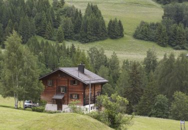 Randonnée A pied Ernen - Mühlebach-Niederwald - Photo