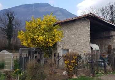 Percorso Camminata nordica Sassenage - Les Batteries de Sassenage par le Mimosa de Clémencières - Photo