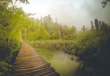 Tocht Te voet  - Nacionalni park Plitvička jezera - Photo