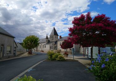 Trail Walking La Celle-Saint-Avant - la Celle-Saint-Avant - GR655 et GRP Touraine Sud - 11.7km 70m 2h45 - 2023 08 06 - Photo