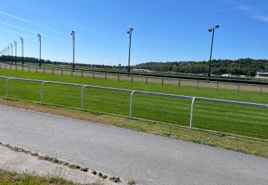Randonnée Vélo électrique Saint-Gatien-des-Bois - Pont l évêque Deauville jongleur - Photo