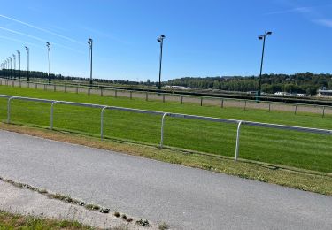 Tour Elektrofahrrad Saint-Gatien-des-Bois - Pont l évêque Deauville jongleur - Photo