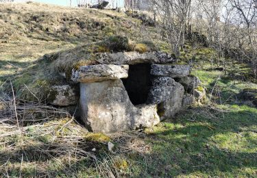 Tour Wandern Saint-Laurent-en-Grandvaux - Saint laurent en grandvaux 2 - Photo