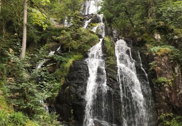 Trail Walking Le Tholy - La grande cascade du Tendon au départ du Grand Caillou. - Photo