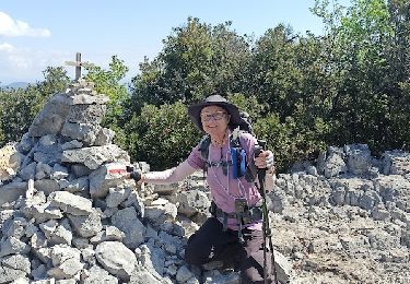 Tocht Stappen Signes - Siou-Blanc-La Colle de Féde-Aiguilles de Valbelle - Photo