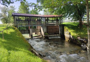 Randonnée Vélo électrique Leutkirch im Allgäu - Centerparcs Allgäu - Kisslegg - Photo