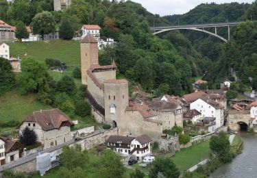 Excursión A pie Friburgo - Schönberg - Maggenberg - Photo