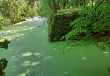 Trail Walking Chenonceaux - Chenonceaux - Photo
