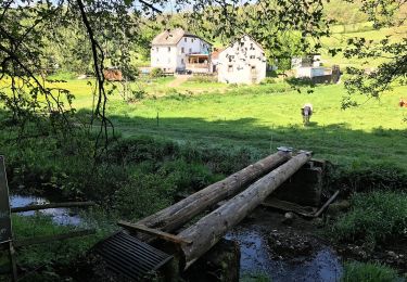 Percorso A piedi Üdersdorf - HeimatSpur Wasser- und Felsenweg - Photo