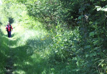 Randonnée Marche Auzielle - Auzielle 2 petits boucles en VTT - Photo