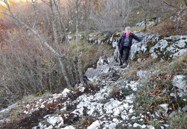 Randonnée Marche Entrelacs - CHAMBOTTE : SENTIER DU BOGNON - retour par le haut des falaises - Photo