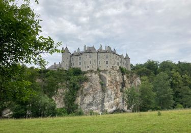 Tocht Stappen Dinant - RB-24-NA / Anseremme / 2020-06-14 / 20 km - Photo