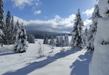 Randonnée Raquettes à neige Chapelle-des-Bois - la grotte de Pierre -rando raquettes -1140 m - Photo