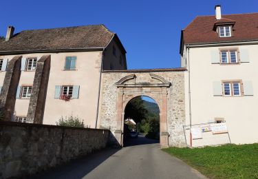 Tocht Stappen Murbach - Murbach (Grand Ballon) 18 060m +1 100m - Photo