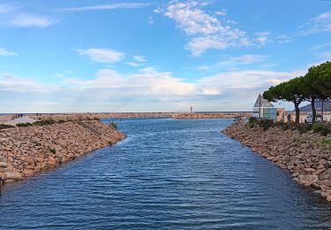 Randonnée Marche Argelès-sur-Mer - racou -  risque de portails (par les bois) port argeles (par la mer) le racou - Photo