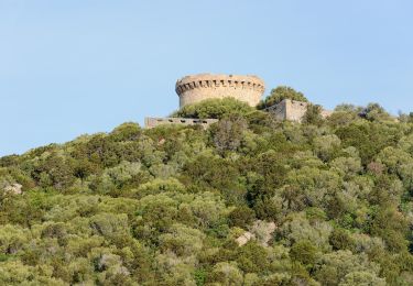 Excursión A pie Belvédère-Campomoro - Boucle de Manna Mulina - Photo