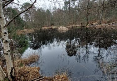 Trail Walking Fontainebleau - Epine N1+ - Photo