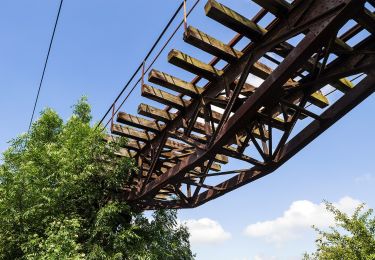 Tour Zu Fuß Brand-Erbisdorf - Wanderweg Freiwald...? - Photo