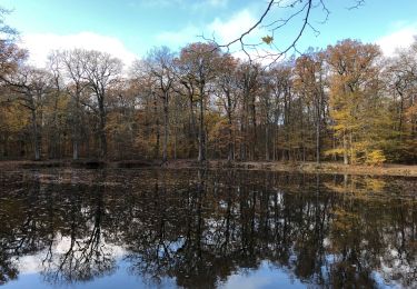 Trail Walking Saint-Germain-en-Laye - Château du Val 24 11 2019 - Photo