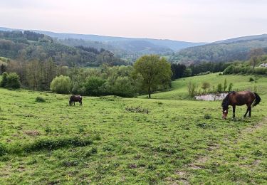 Trail Walking Stoumont - stoumont :  aller via corniche , retour via amblève - Photo