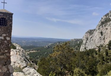 Trail Walking Saint-Antonin-sur-Bayon - sainte victoire - Photo