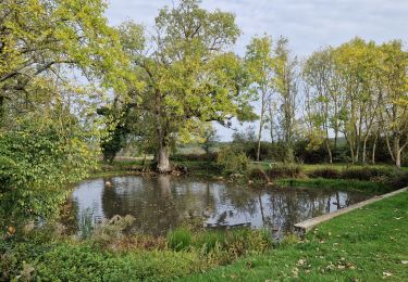 Tour Wandern Limours - Essonne_Tour_des_Fermes_de_la_Prédecelle - Photo