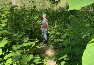 Randonnée Marche Overijse - Ter là en - Photo