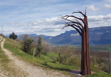 Tour Wandern Vatilieu - Les Crêtes de Vatilieu - Photo